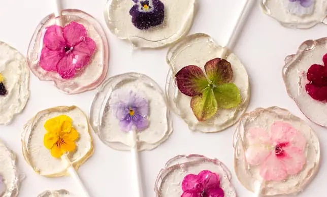 Paletas con flores comestibles: ¡Todo lo que necesitas saber!