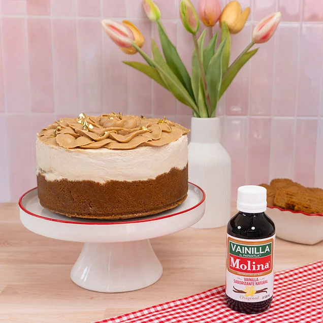 Cheesecake de biscoff (sin horno)