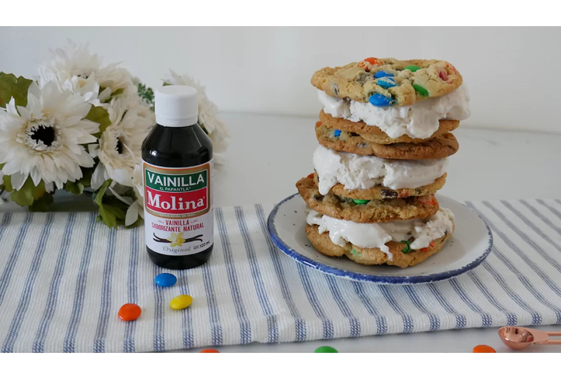 Sándwich de galletas con helado